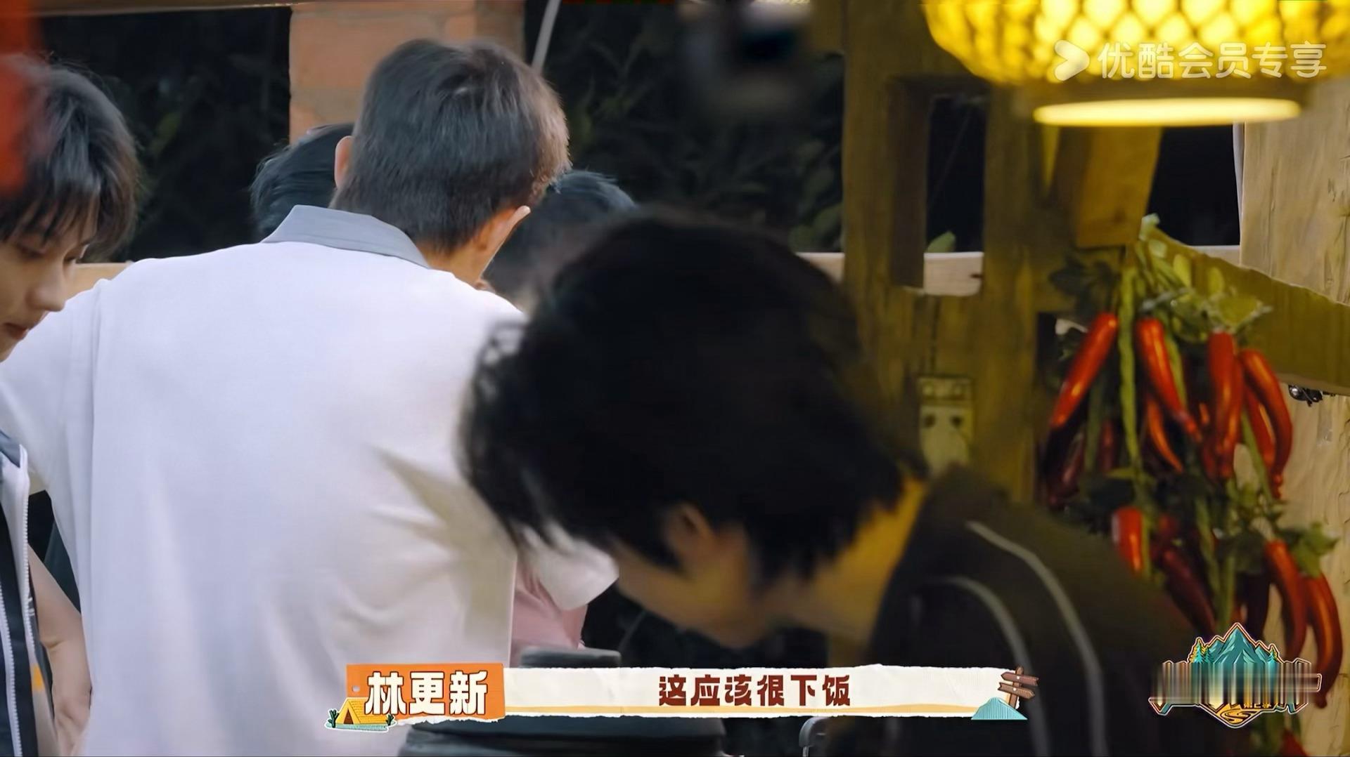一只驼摇头晃脑地经过 