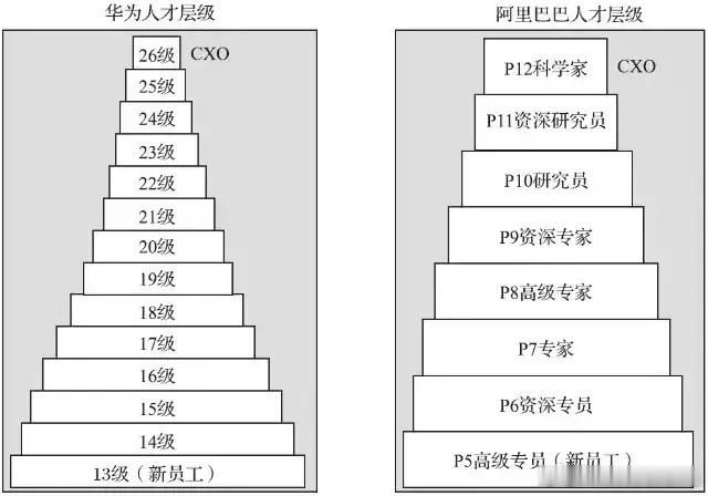 华为和阿里巴巴人才分层对比一览图 