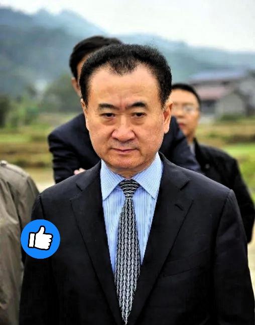 不查不知道
被王健林给惊呆了
谁能想到，这老爷子为了扛住

6000亿欠款，硬生