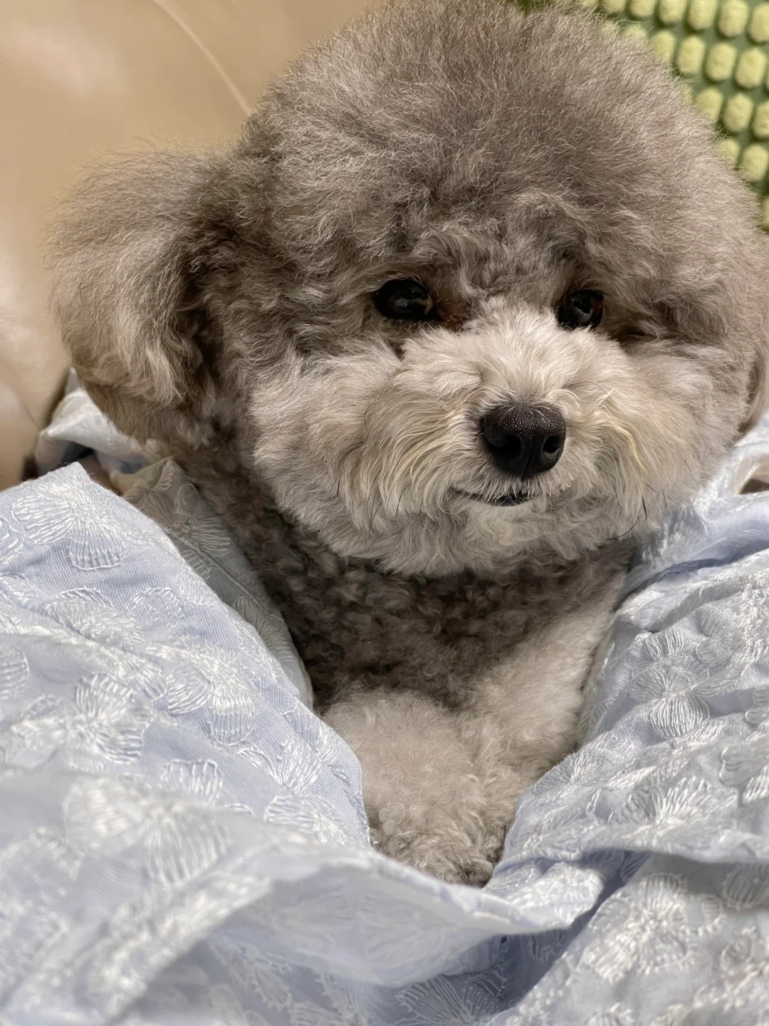 这么可爱，很难不爱