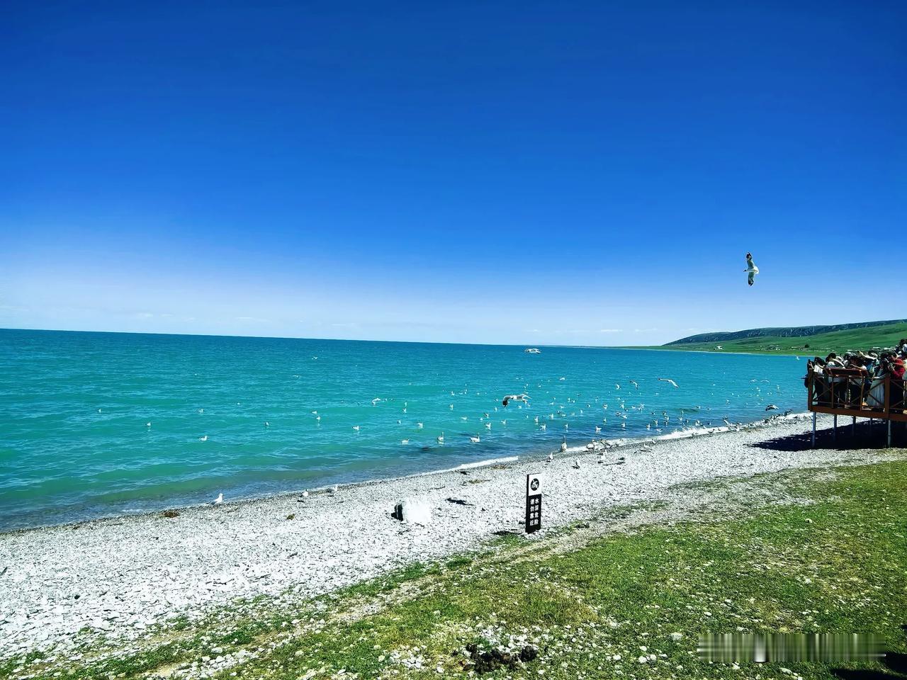 大美青海湖