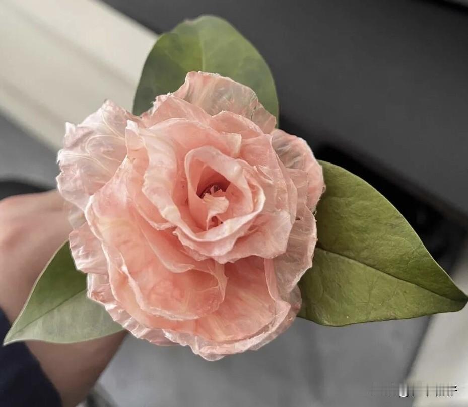 此刻的春风已奔流至你窗前，
请接住它，继续热烈地活着。
走过的路都成为风景，
未