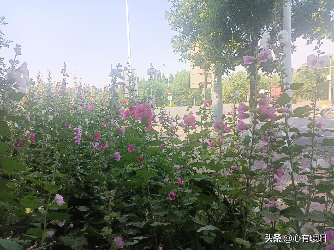 和男人相处,如何让他持续迷恋你?1. 不把对方当成生活全部，有自己的圈子、爱好和