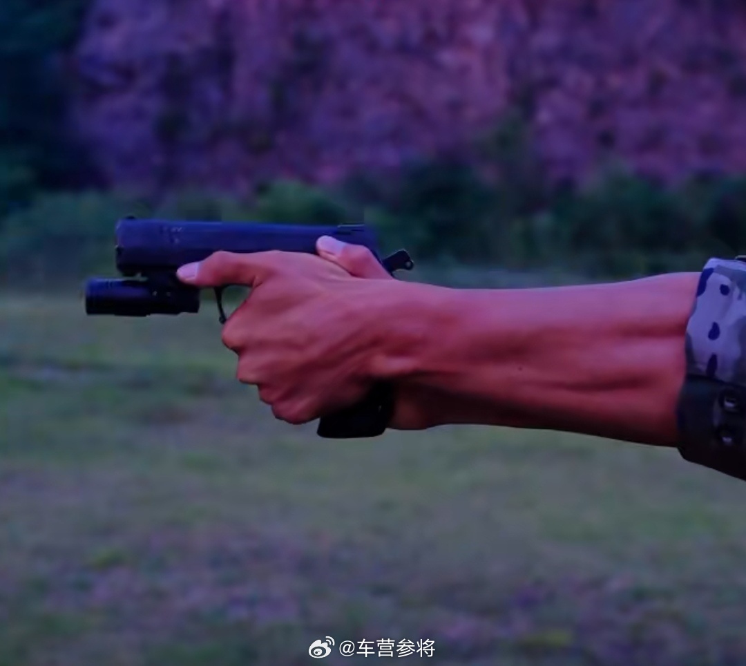 新型自动手枪配套的战术枪灯 