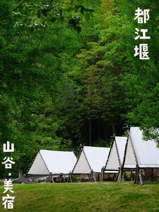 都江堰景区旁森系美宿，避暑+挖笋+采茶
