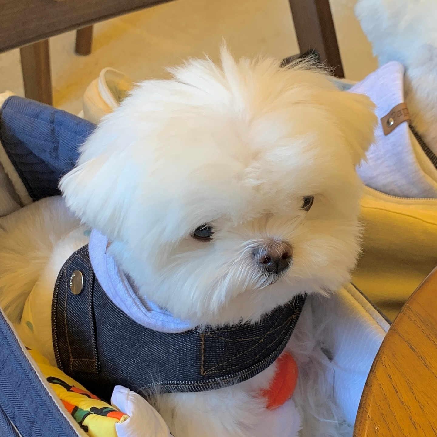 今天星期三，明天星期四，再过一天才星期五 