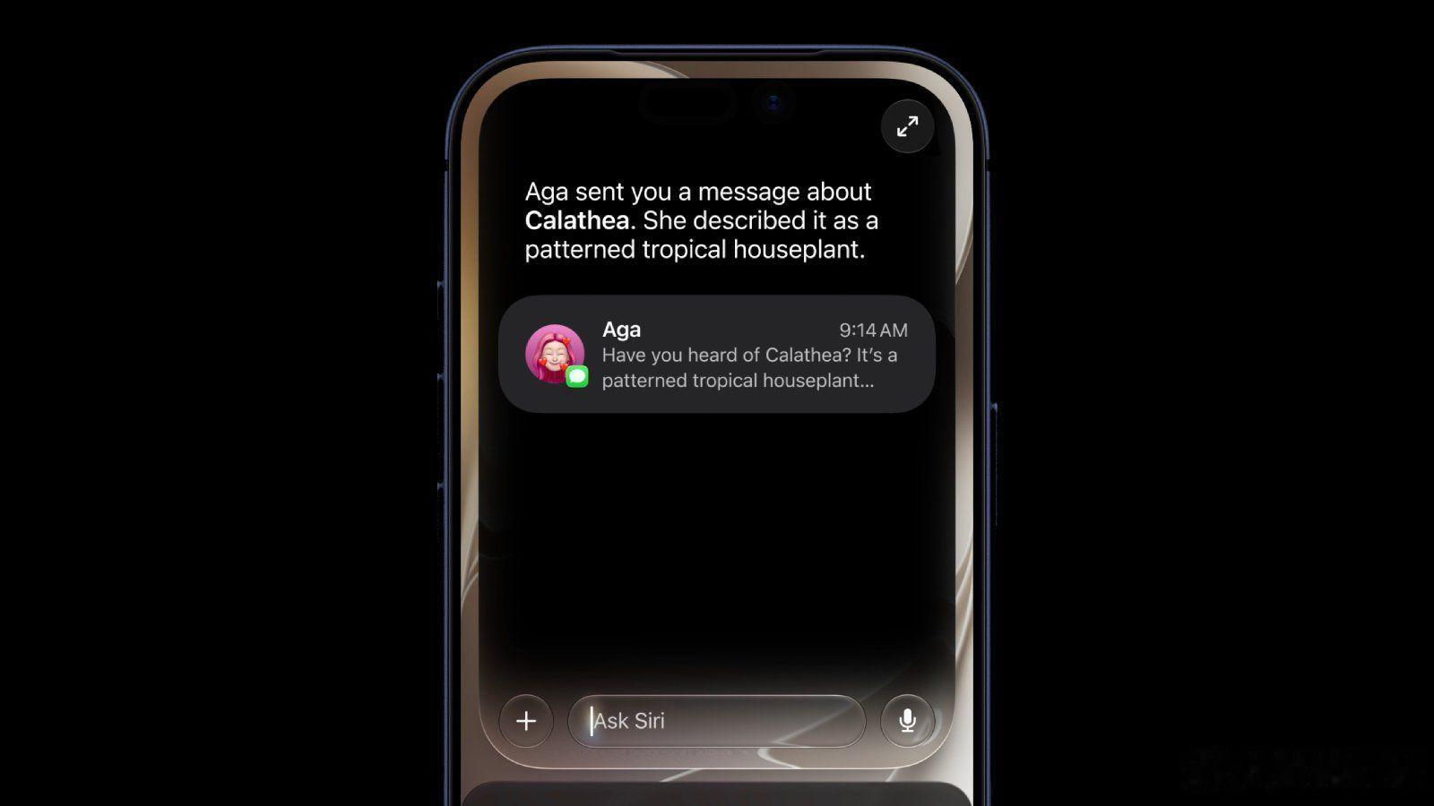 软件工程高级副总裁Craig Federighi解读了Apple在iOS 27中