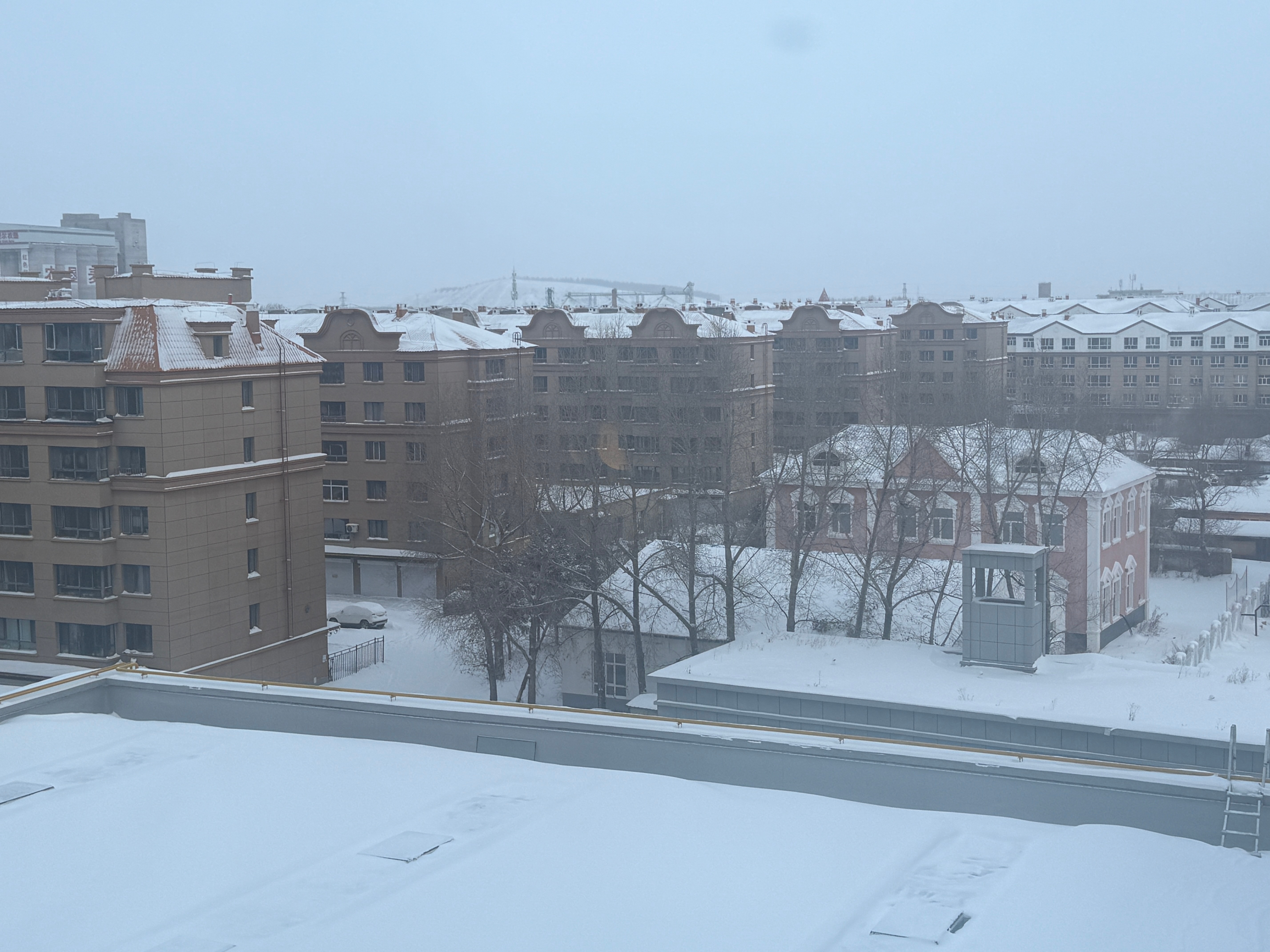 早！看起来好xuān乎的雪哇！❄️早安