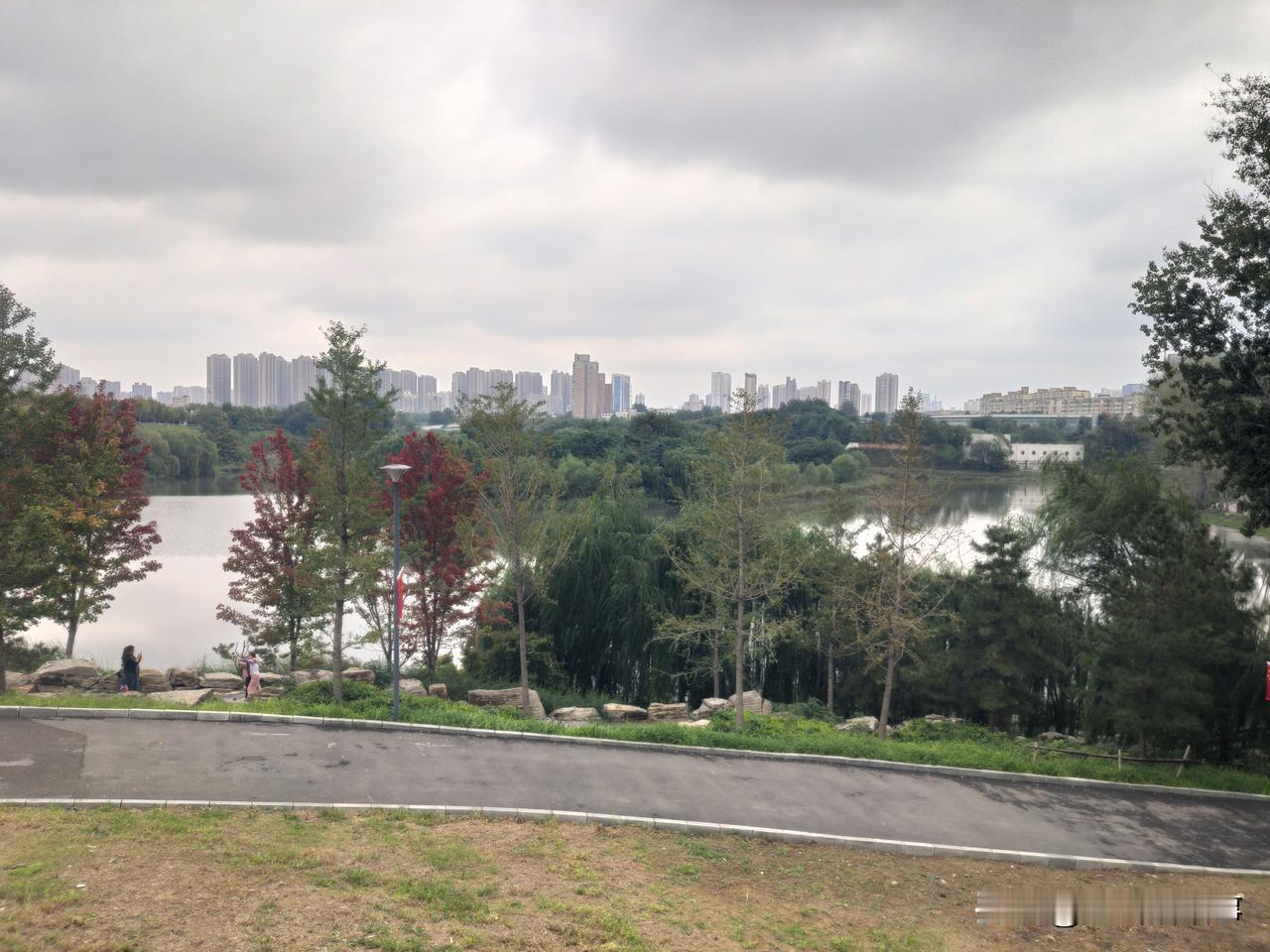 郑州市西流湖公园随手拍:红染秋色！