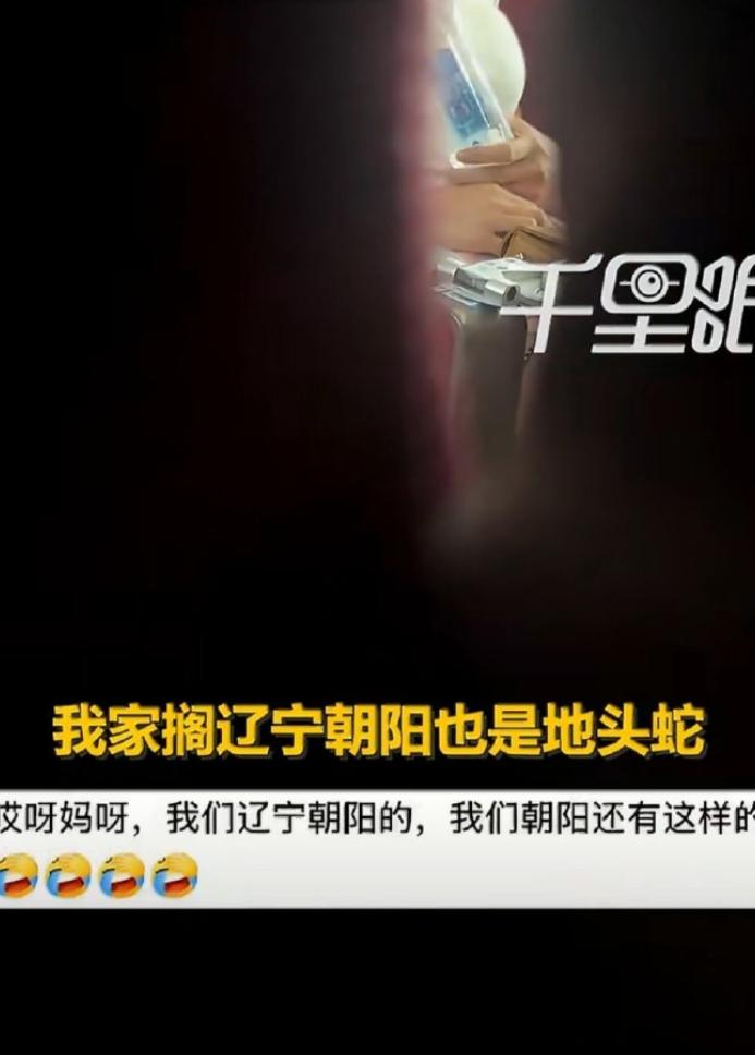 见过不讲理的，没见过这么嚣张的。
7月27日，辽宁沈阳一趟高铁。
本来安安静静的