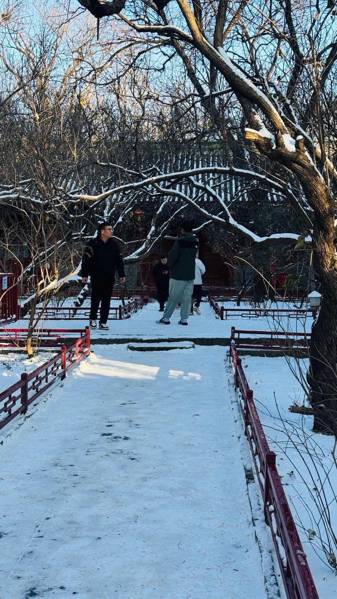 法源寺的猫和我的猫 