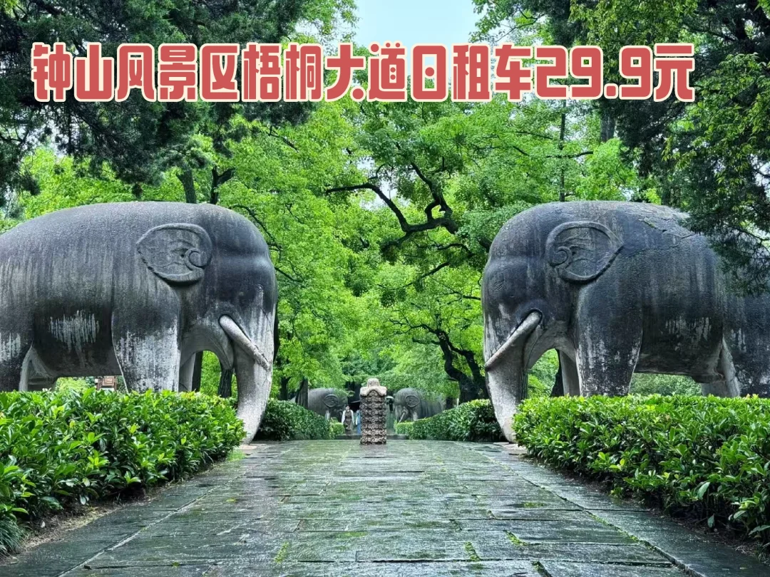 🚴‍♀梧桐大道钟山风景区日租电动车29.9元