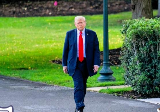 特朗普正式宣布。
 
10月31日，美国持续施压下，荷兰2025年光刻机出口新规