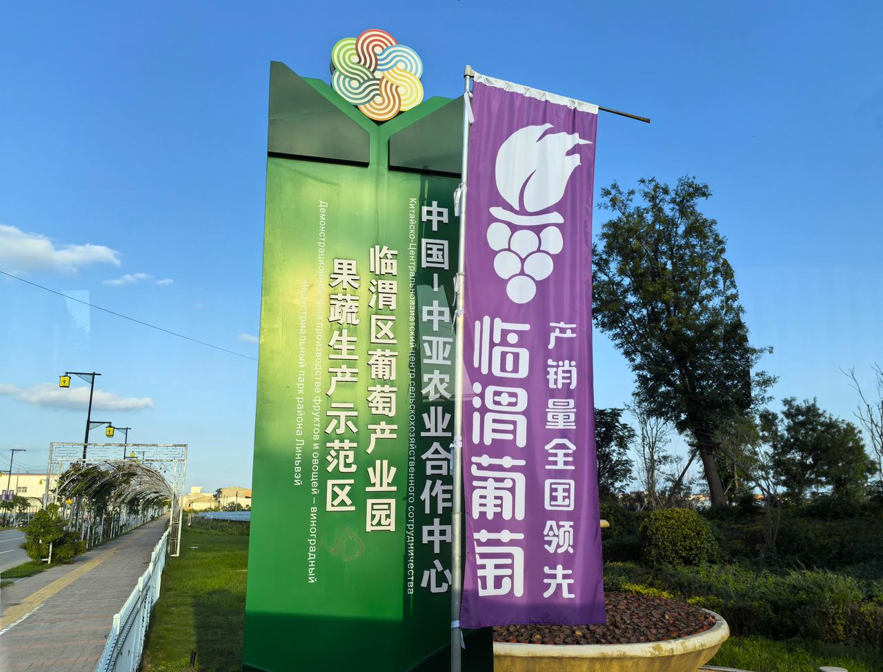 ▲陕西渭南葡萄产业园
葡萄       渭南 
       渭南葡萄产业现代农