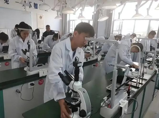 中央最近亮剑了，十五五规划直接把“遮羞布”扯了下来。5000万大学生，满大街的本