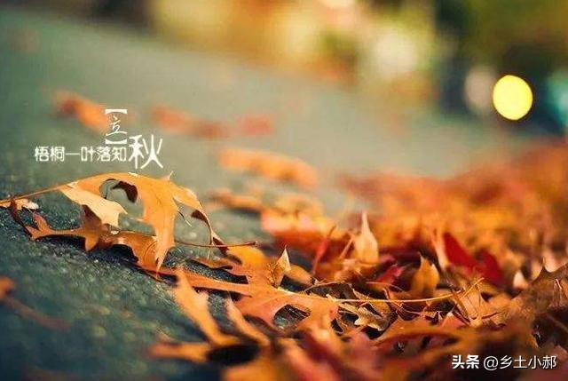 今日立秋，今年会有秋老虎吗？答案来了
 
今天正式迎来立秋节气。很多人以为立秋到