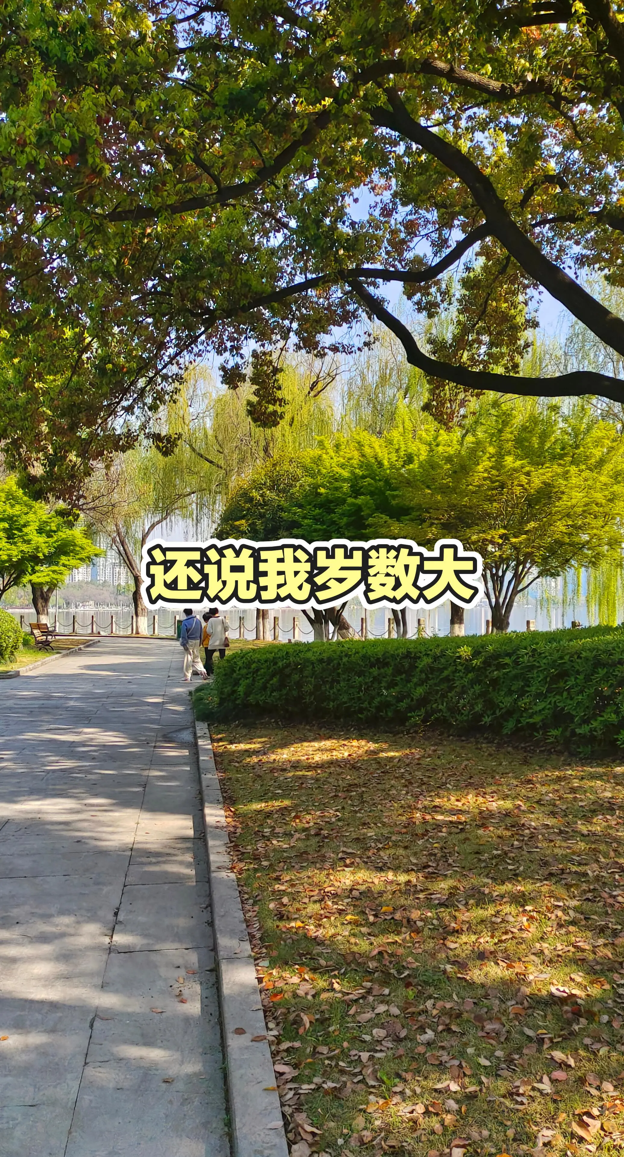 日更
