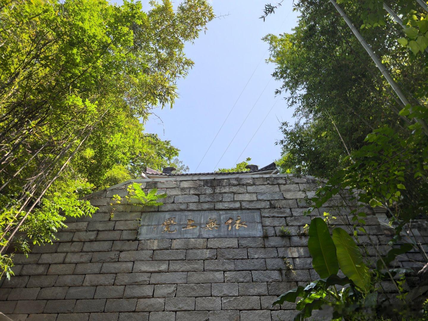 这天气适合在树林里爬山二手车参谋老杨二手车参谋老杨[超话]  ​​​