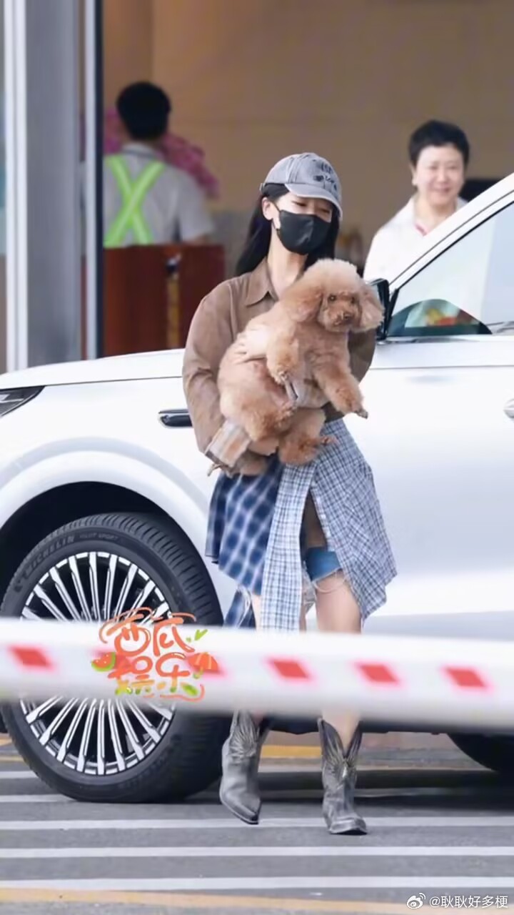 杨紫抱着狗狗打招呼好萌啊 