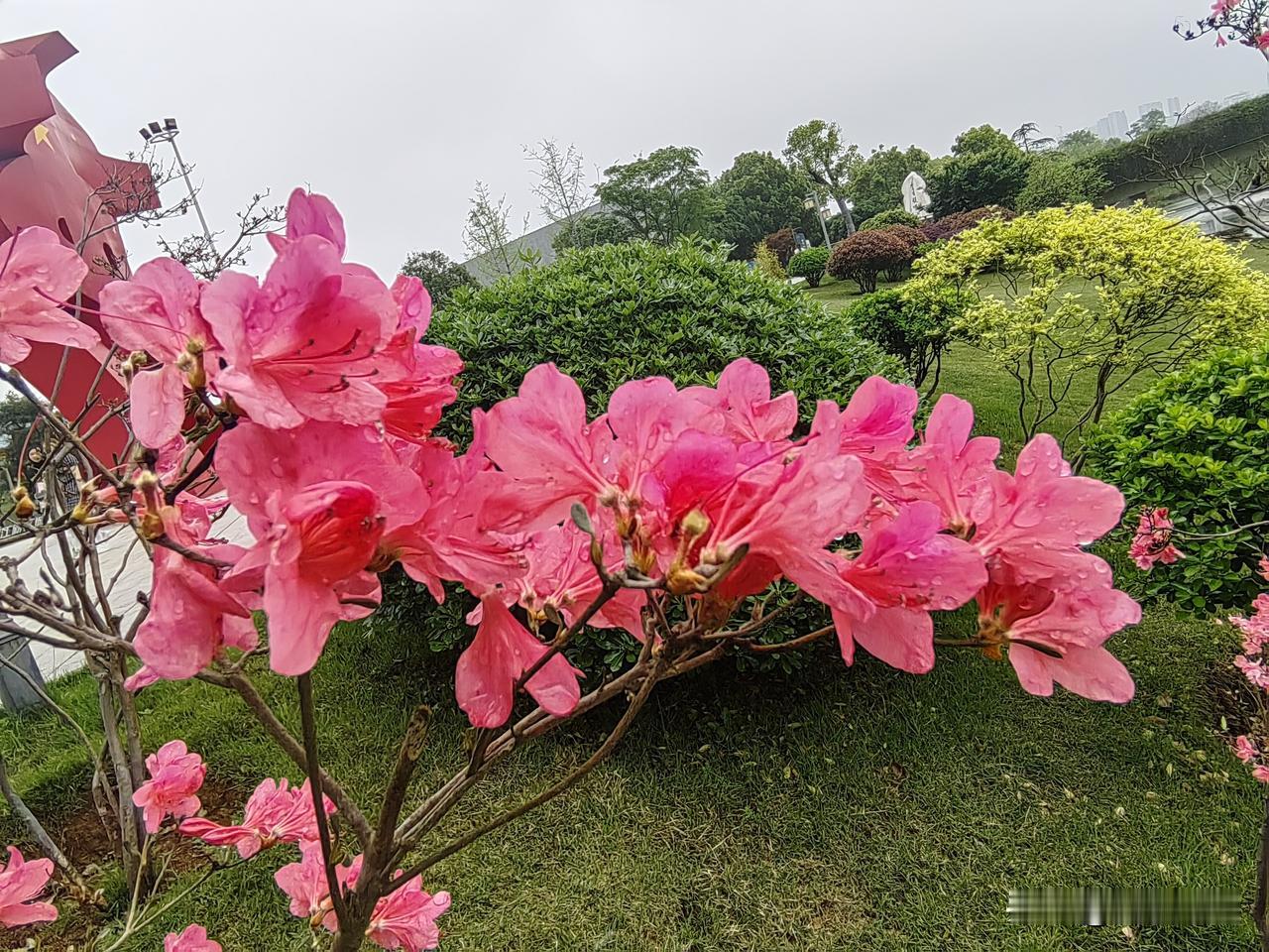谷雨春光晓，山川黛色青
今天是谷雨节，春季里最后一个节气，过了谷雨，万紫千红的春