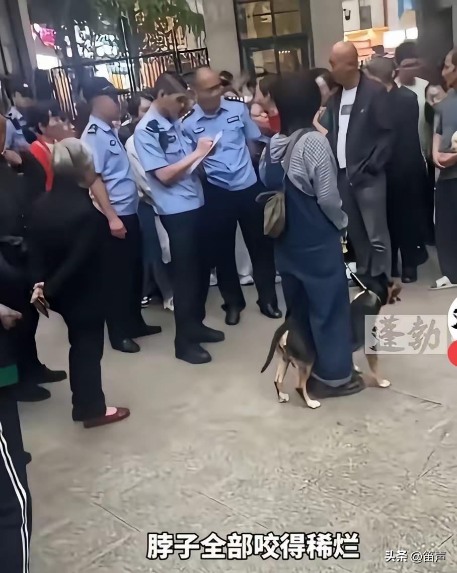 看到四川眉山狗咬人的事
我做了三个决定
第一，坐电梯时千万不要

和牵狗的一起坐
