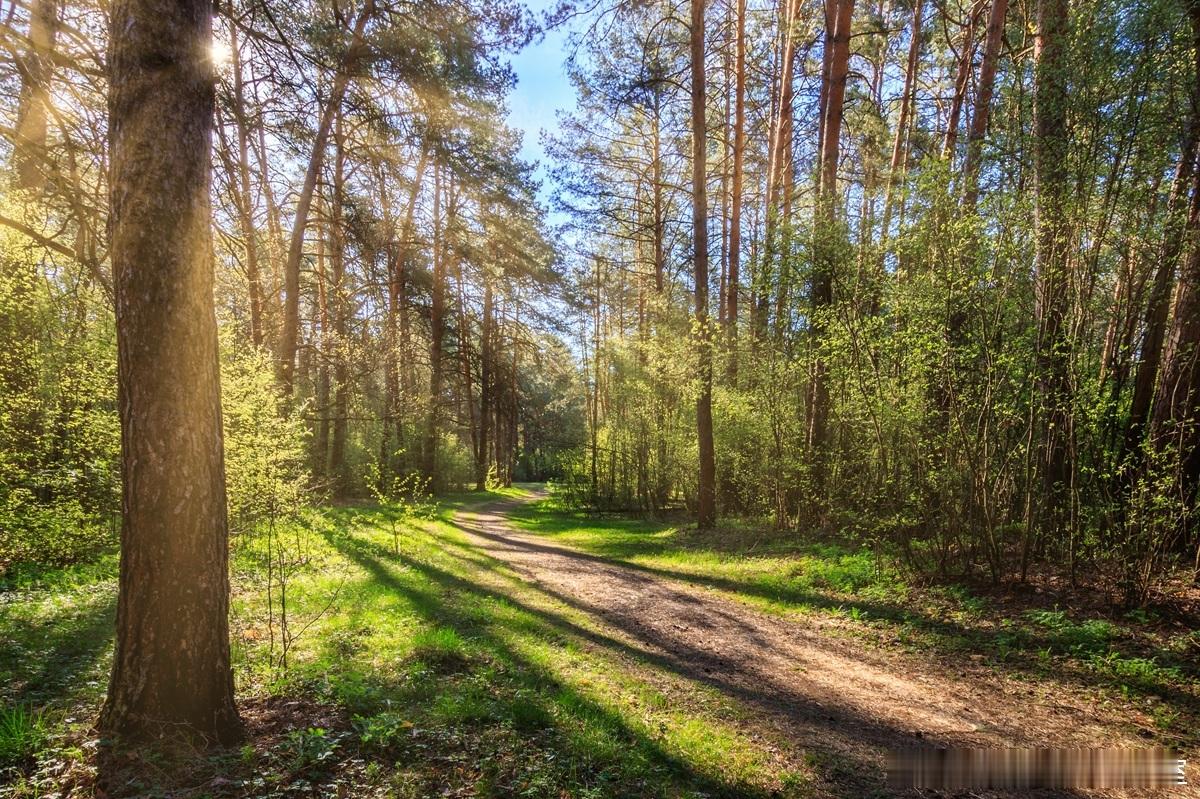 分享连锁运营股权五大铁律：1. 股权要动态调整，忌一步到位。结构应随企业发展由简