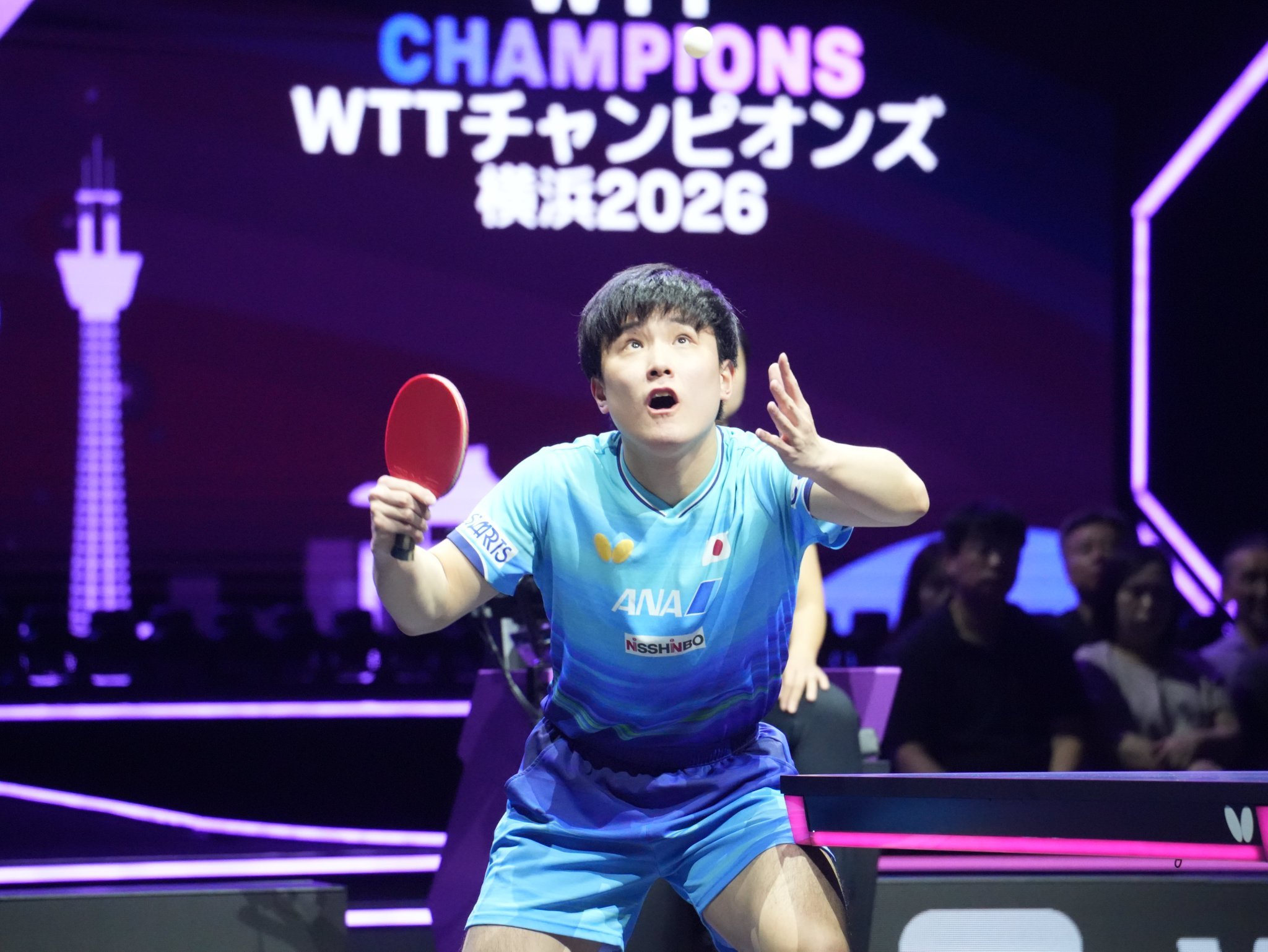 张本智和wtt横滨冠军赛2026 大会卫冕冠军张本智和，以3比0轻取澳大利亚选手