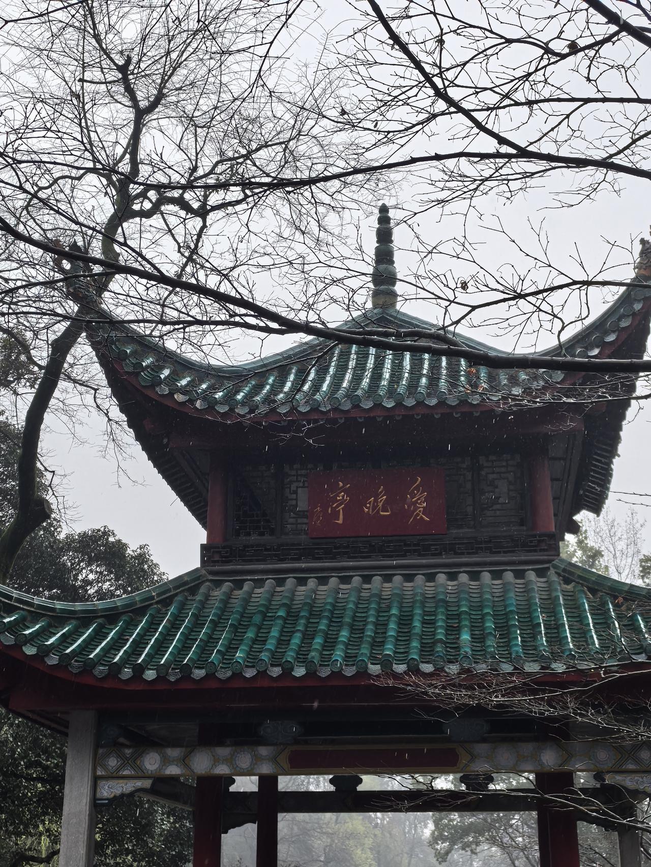 6月了，时间真心快，2026年又快过去一半了，属于我的旅行季也悄然而至。

过几