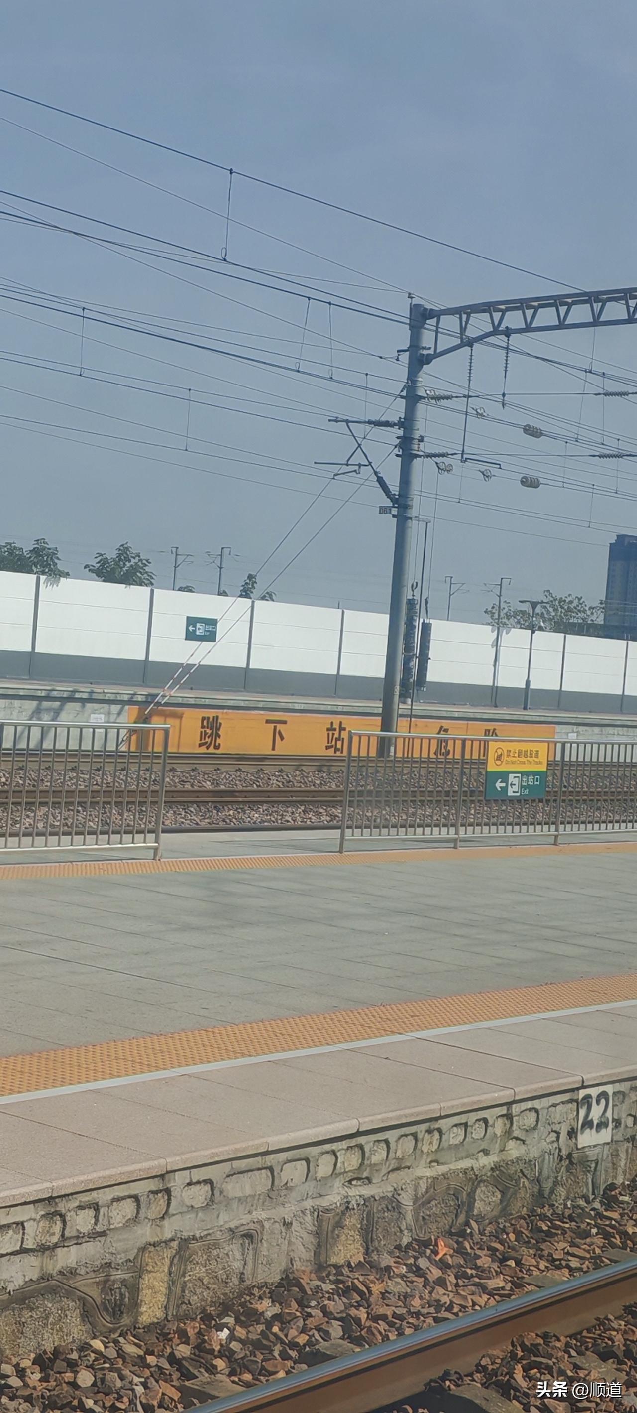 白天睡觉真香啊，想睡就能睡着，还做梦呢！