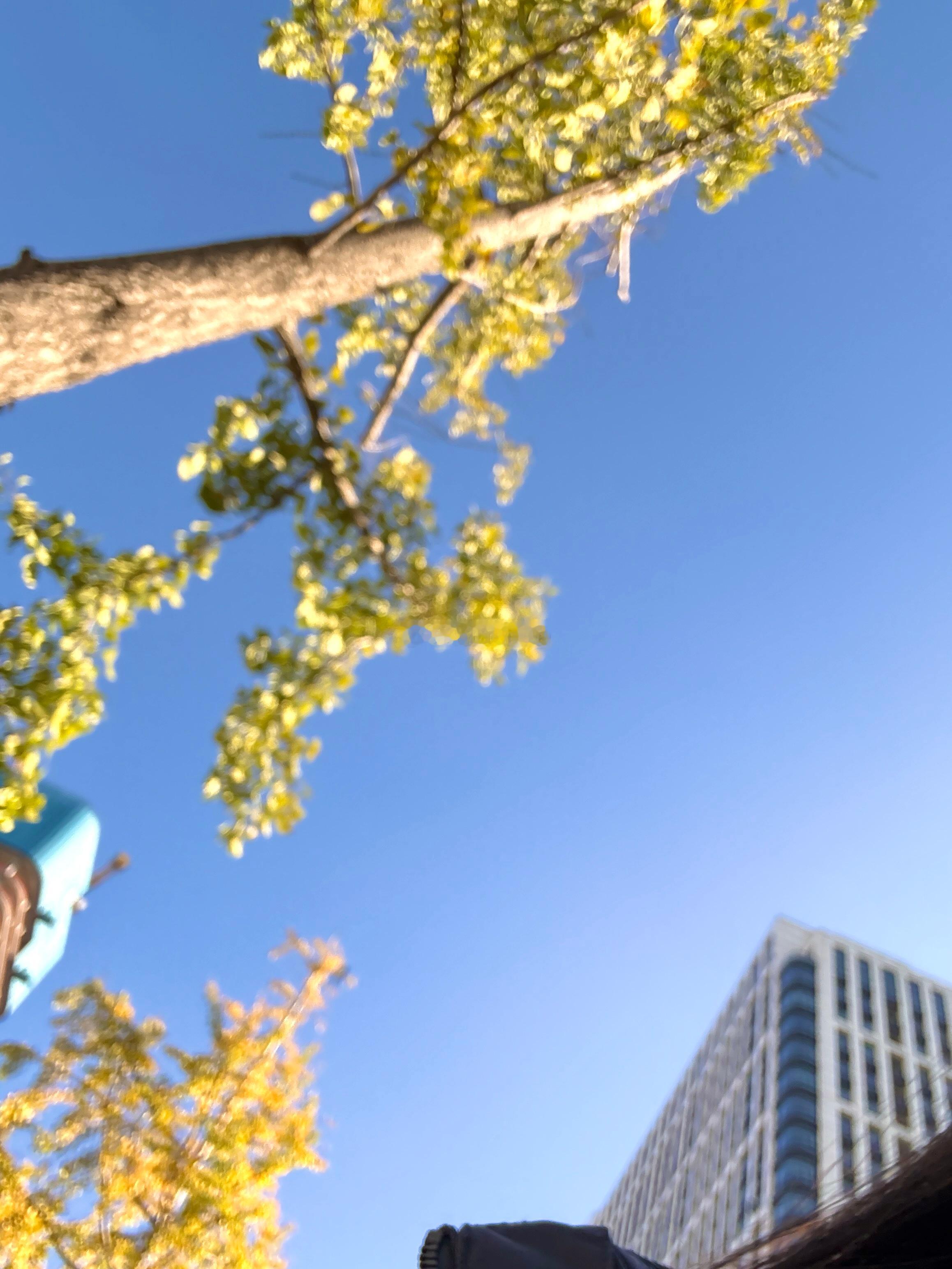 🍂⛅️🥤🩷🩷🩷 