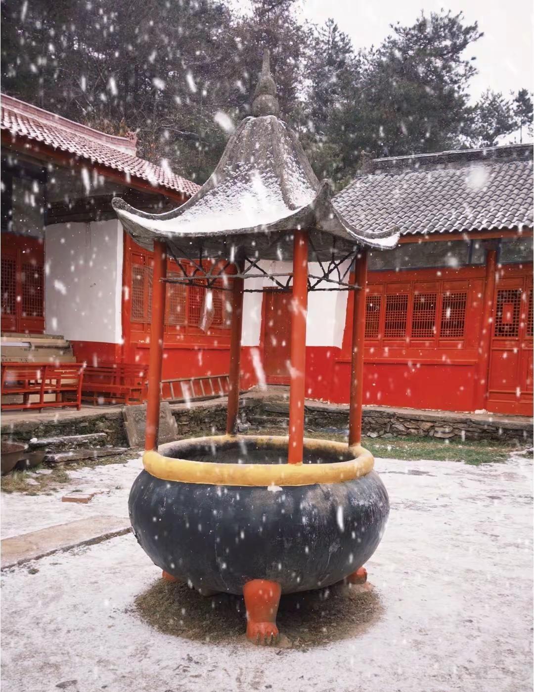 三月的汉中又下雪了 下雪了 汉中下雪了