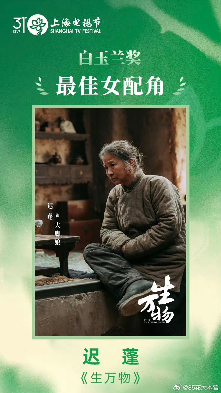 第31届白玉兰奖最佳女配角——《生万物》迟蓬看过这部剧的，都会被大脚娘打动，都会