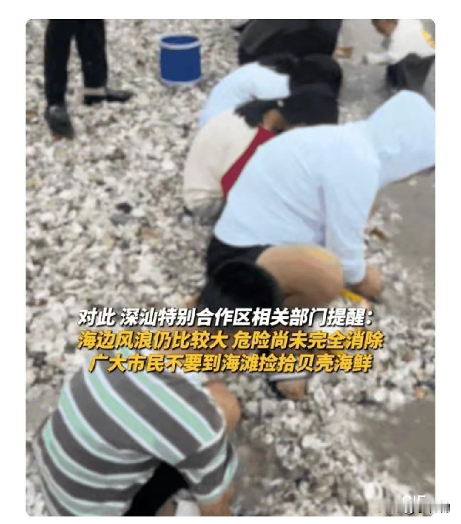 台风后海鲜堆成山？千万别捡！警方都出动了
 
家人们注意！台风“桦加沙”一过，广