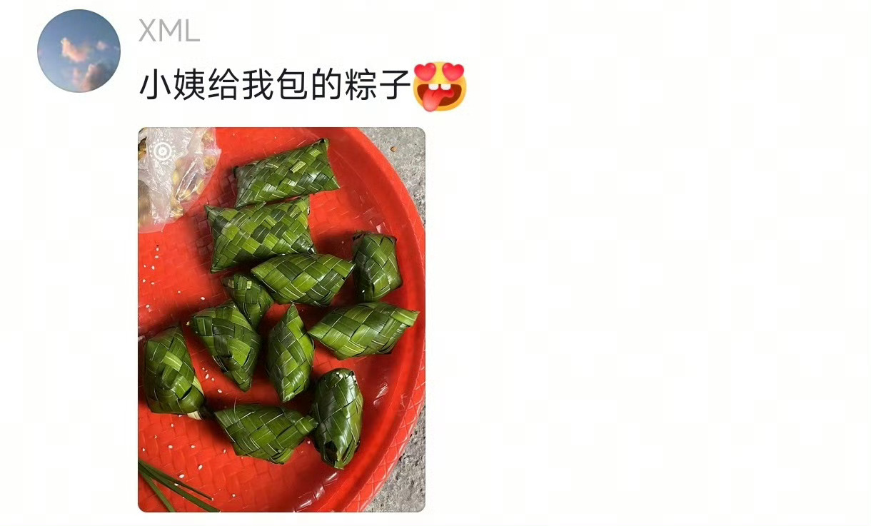 粽子还没满月就出来工作了现在粽子圈也开始内卷了么但不得不说这小粽子还挺可爱不过我