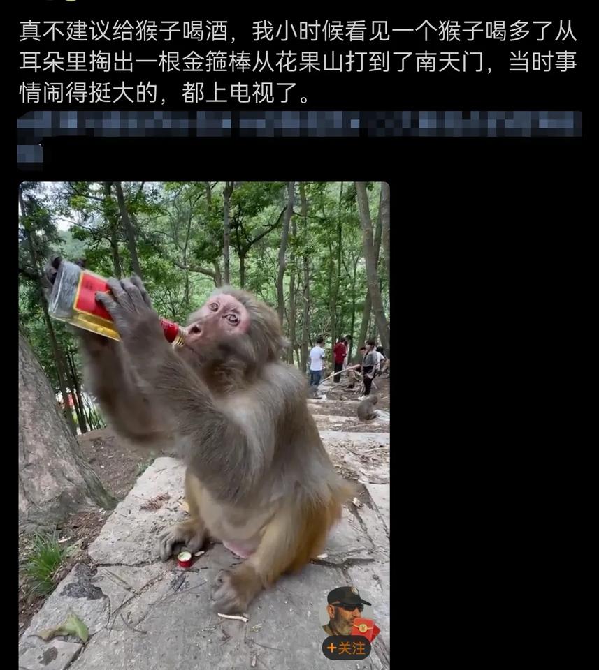 这猴哥酒量阔以，瓶底快朝天了！