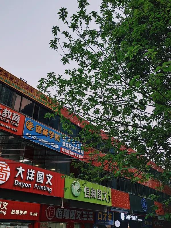 我支持取消中小学重点班，理由如下：

1. 践踏教育公平：制造“教育特权区”💔