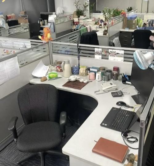 今天无意间刷到张雪峰公司的内景，直接看愣了。密密麻麻几百个工位，接电话、敲键盘的