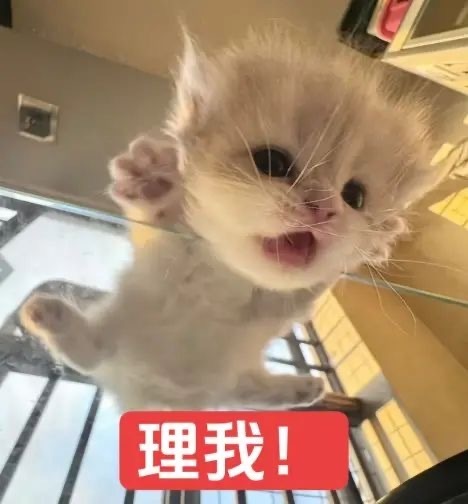 为啥有些人取消兴趣rz马上能申请我要九十天真九十天还是会突然能申请啊 