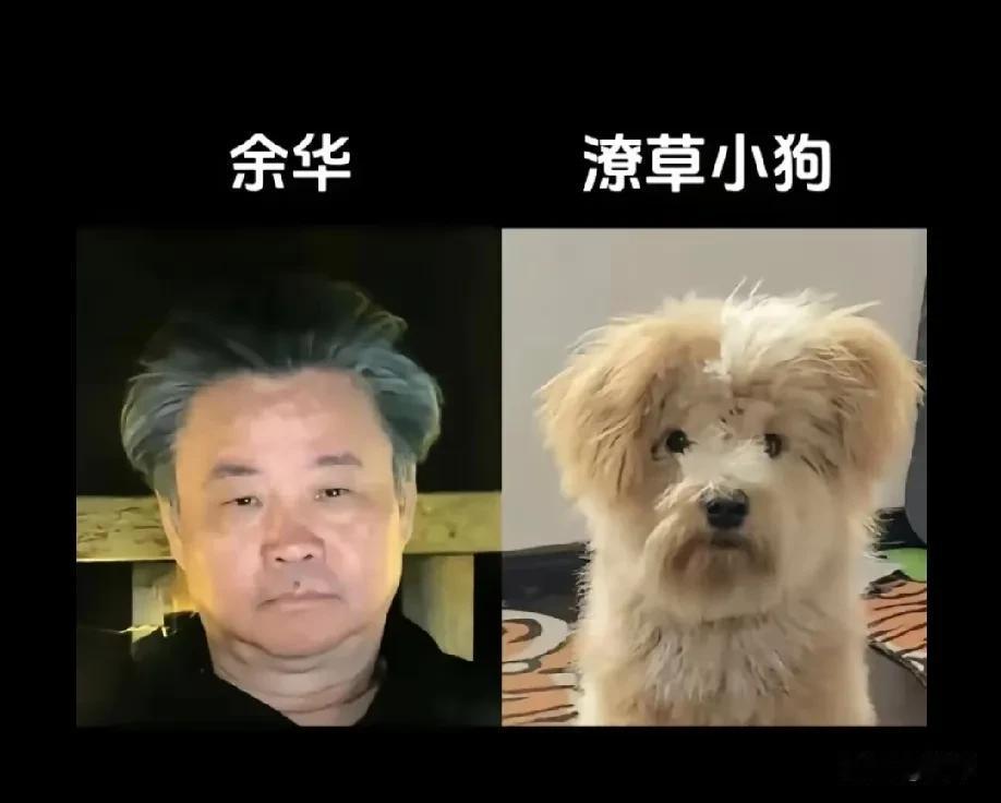 苏童对董宇辉讲自己和余华趣事，他说，有一部分人不讲究谁帅，只喜欢潦草小狗。

 
