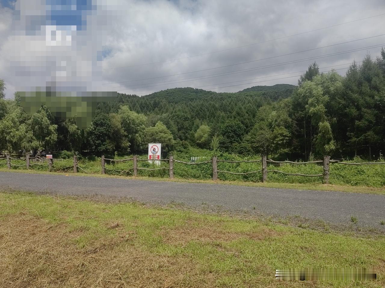吉林市80年代单位系统局开运动会时一直不明白为什么各单位都普遍借运动员呢？
  