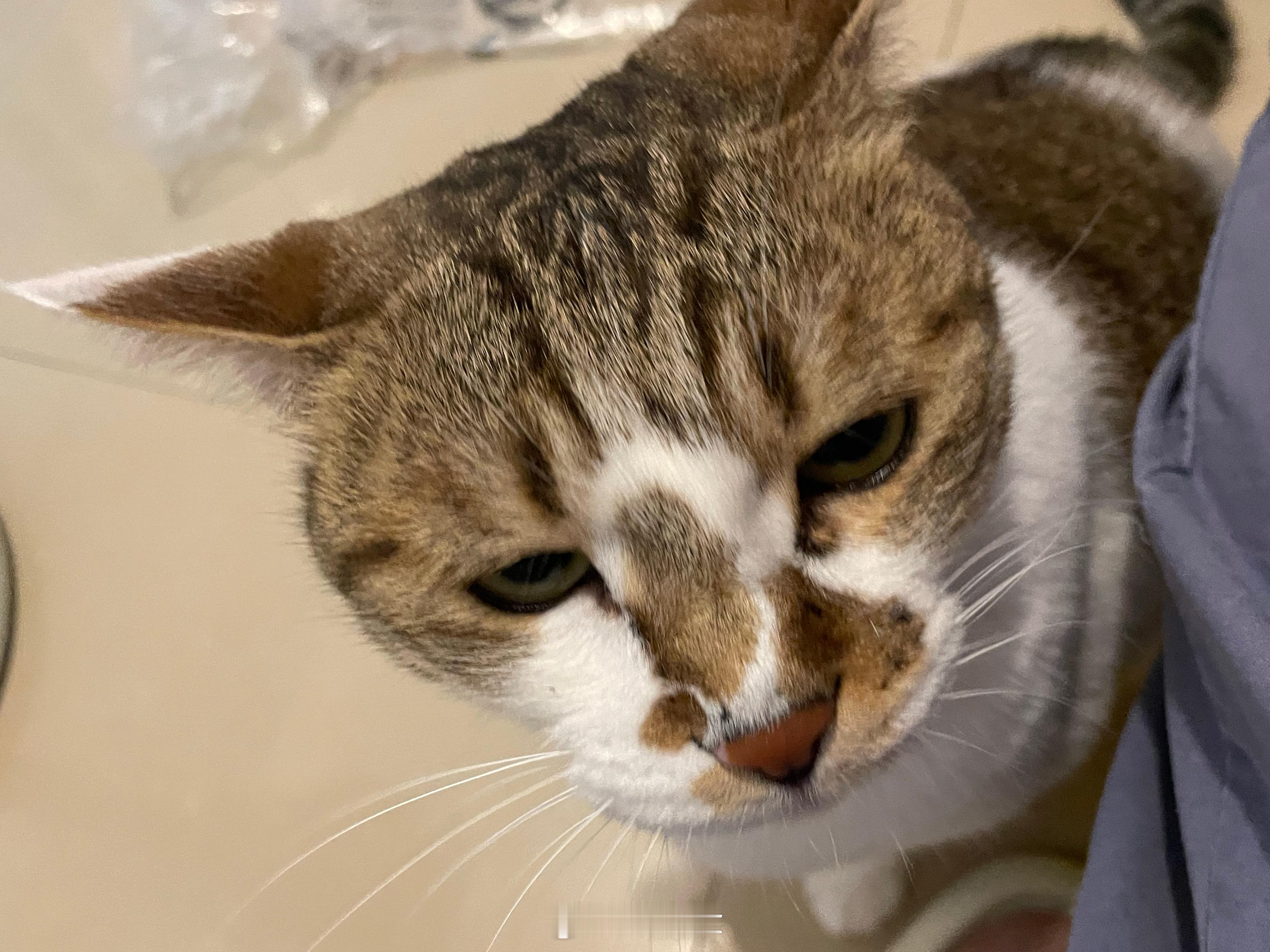 你瞅啥 ​​​