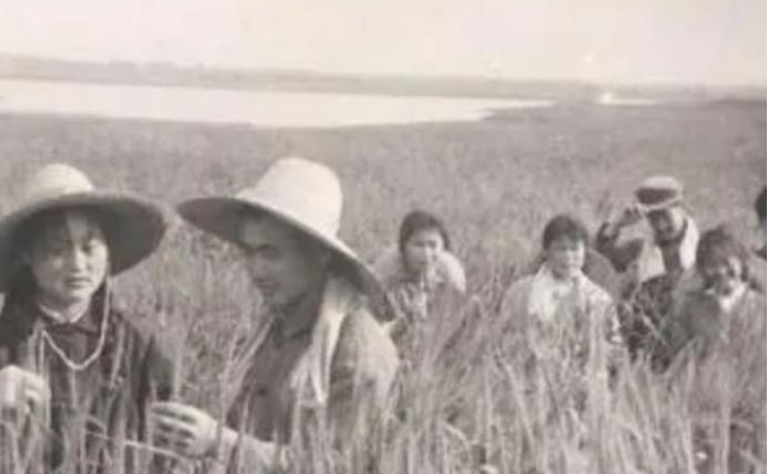 知青刘朝旭上大学前，那笔凑出来的“路费”
 
1973年，对刘朝旭来说，是命运转