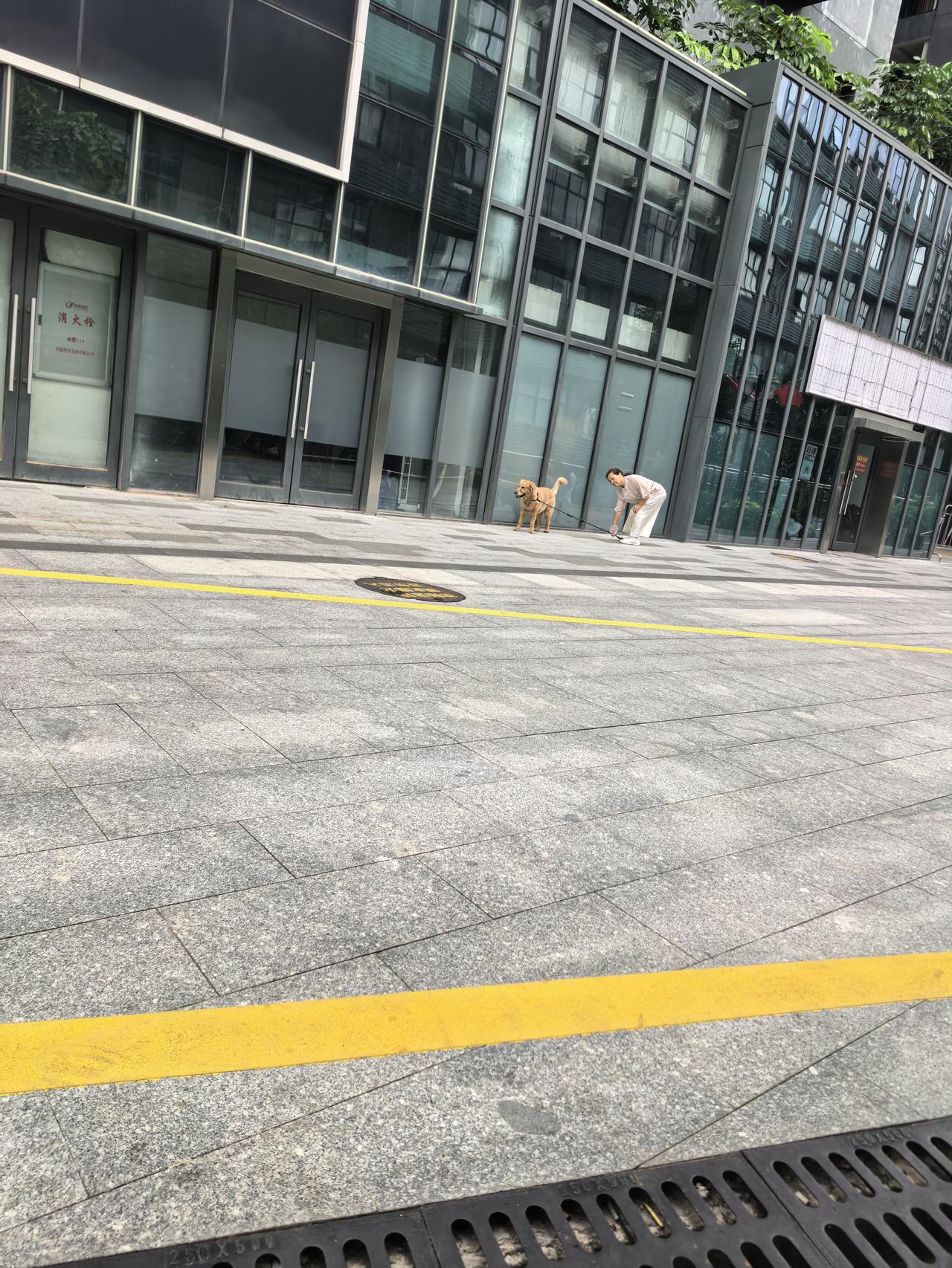 现在养狗的人怎么这么多？早上，在都市广场条椅上休息，才一阵功夫，眼前就出现了好几