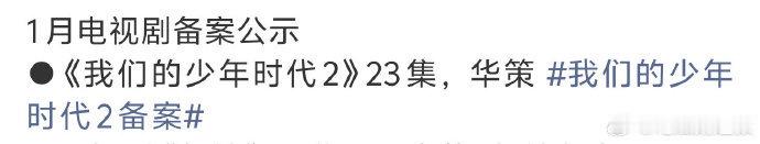 华策参与到我们的少年时代 2 的出品制作中，同时也顺利完成了这部作品的备案工作，