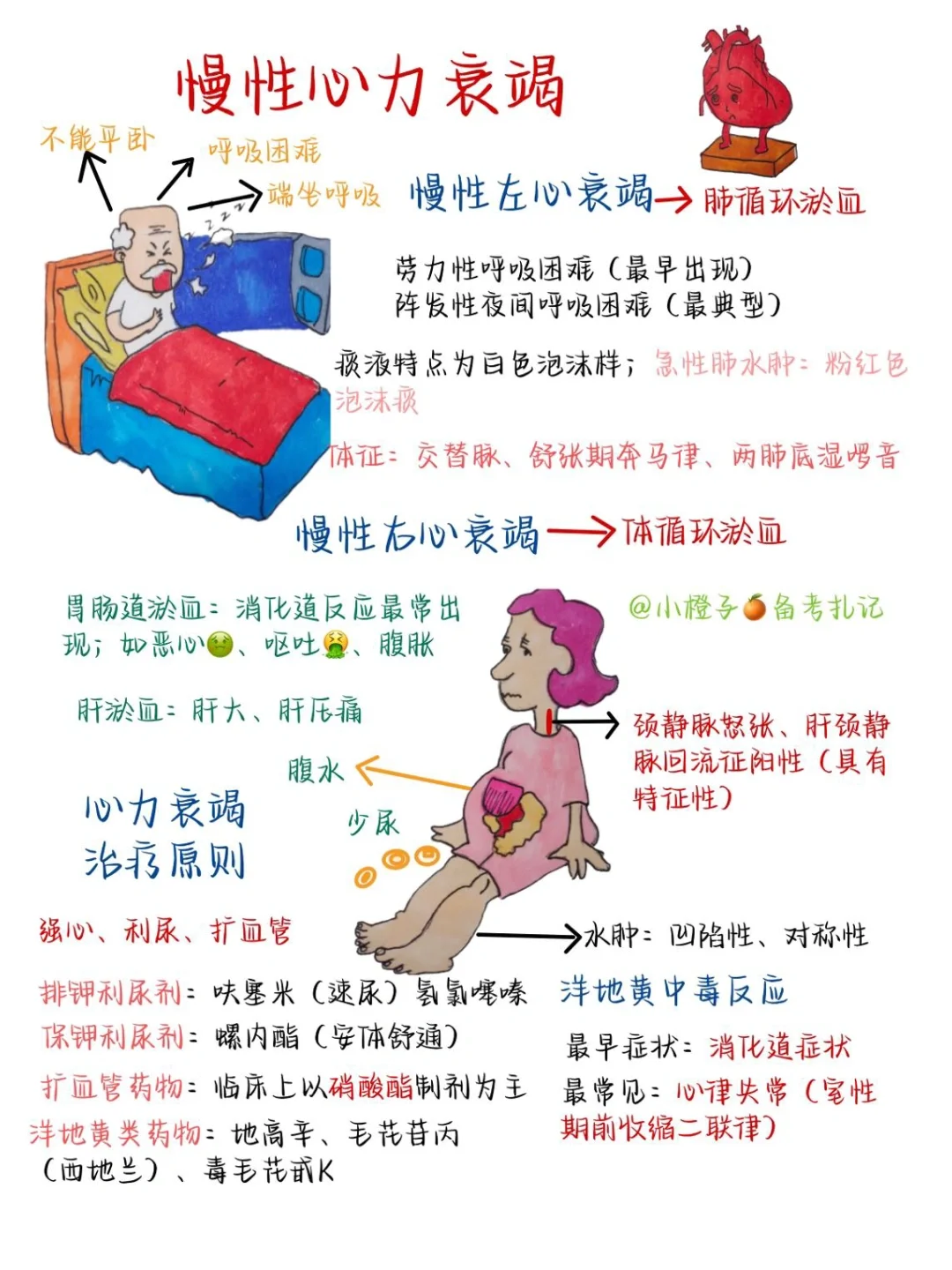 📖护师笔记｜内科护理学｜慢性心力衰竭🫀