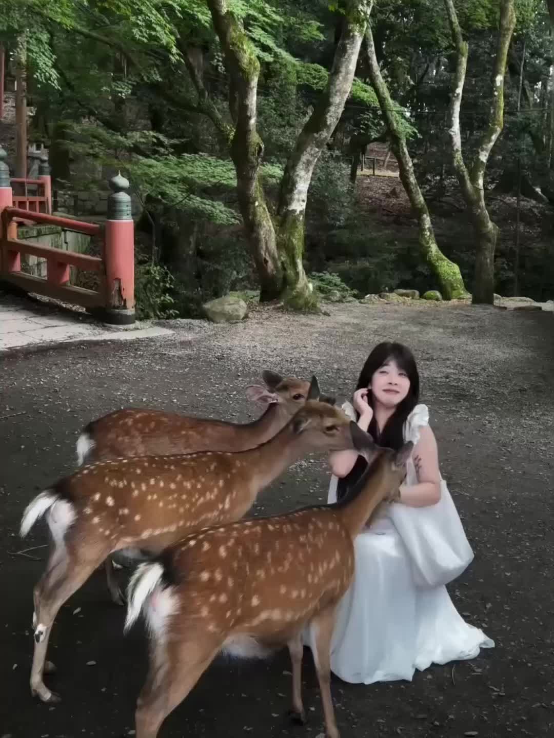 打咩呦！！！！