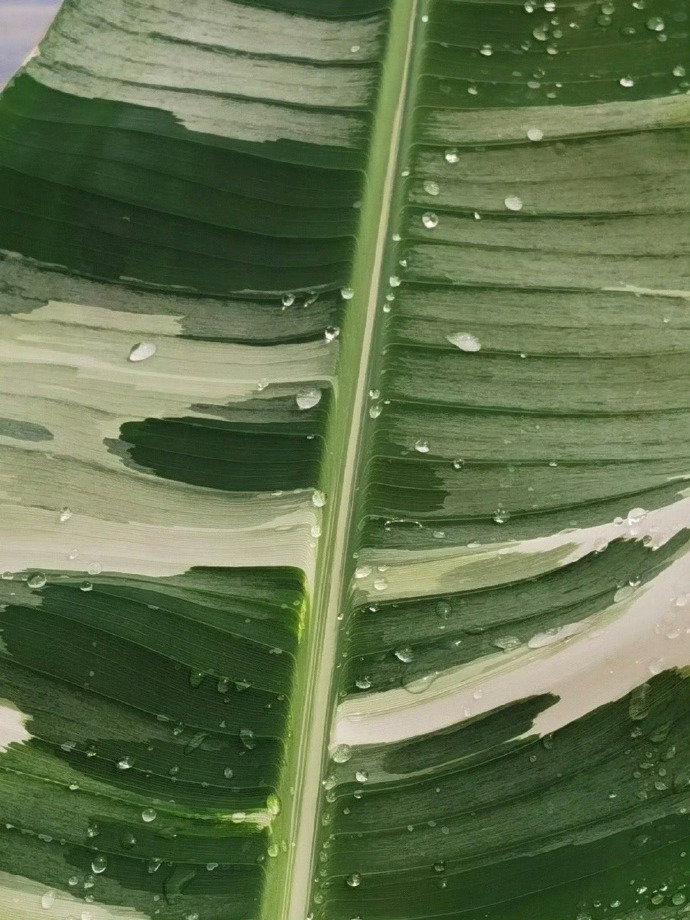 大自然才是最棒的调色师  
