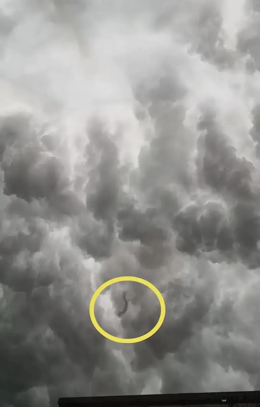 龙国要变天了？

这是要对全世界公开了？

西安雷雨夜出现不明飞行生物竟然上热搜