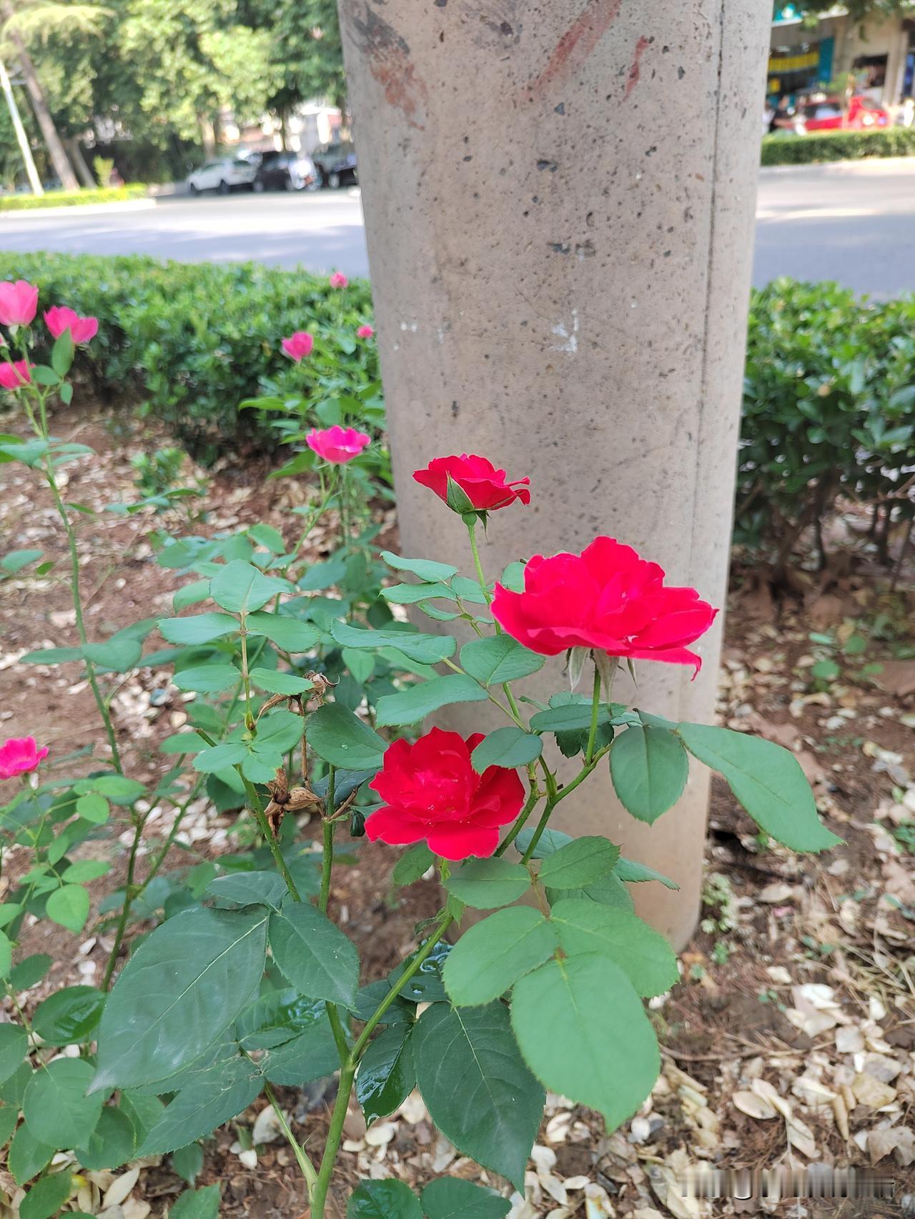 都好都好，得分人！
邻居蕊蕊姐，家里一点都不缺钱。
蕊蕊姐，退休后一个月退休金是
