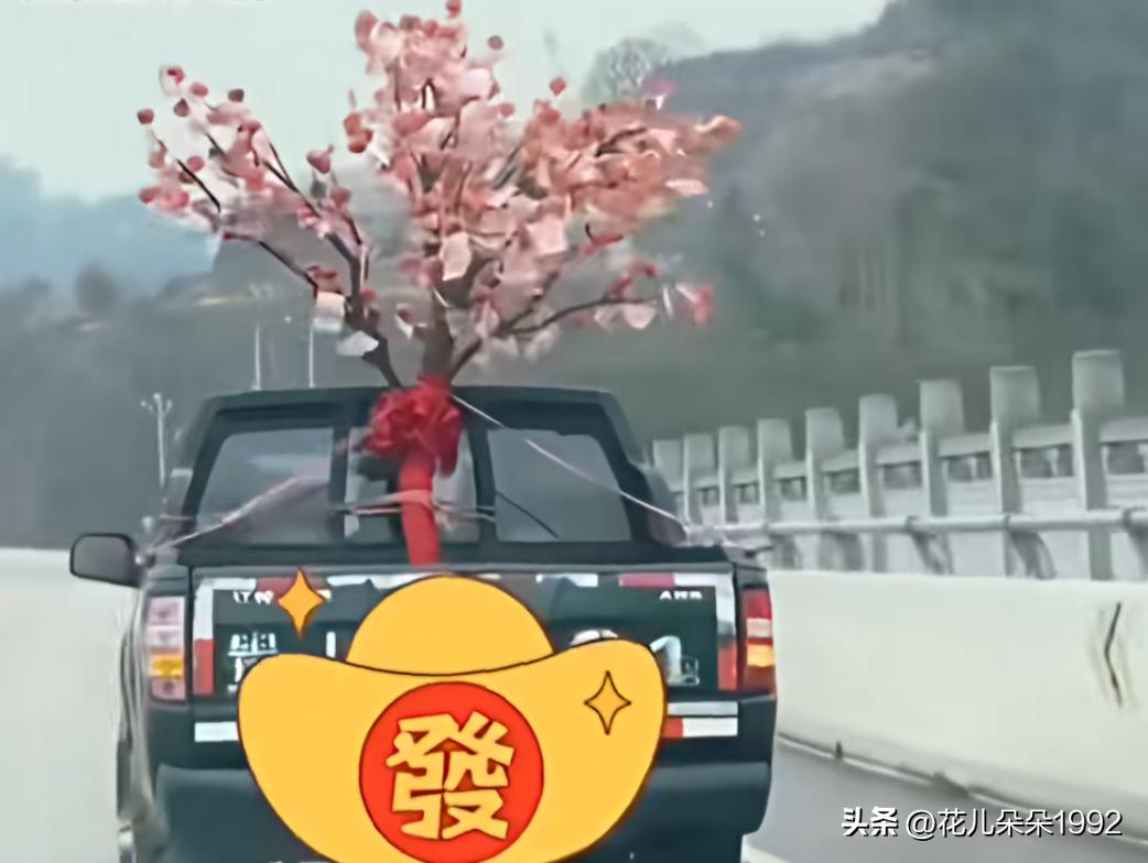 这皮卡拉的一棵发财树，开近了一看，居然全部是真钱，百元大钞啊。
     车主到